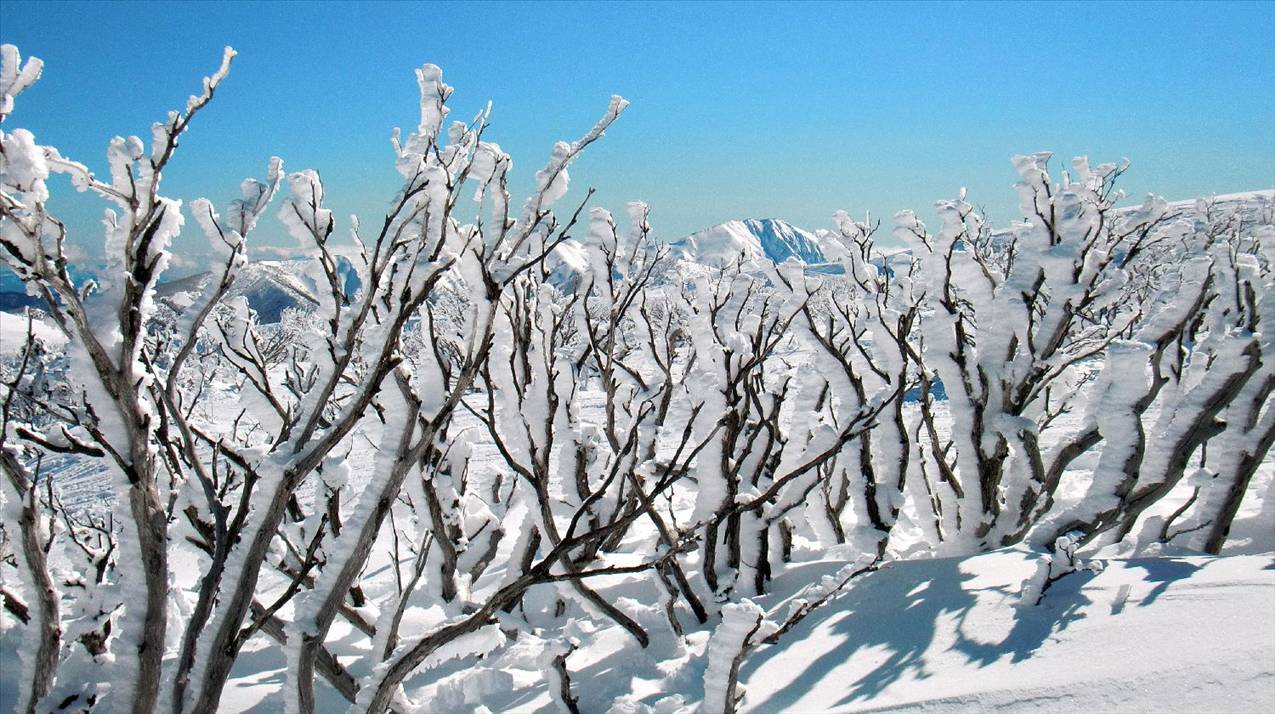 Vé máy bay từ Hồ Chí Minh đến Thành phố Mount Hotham