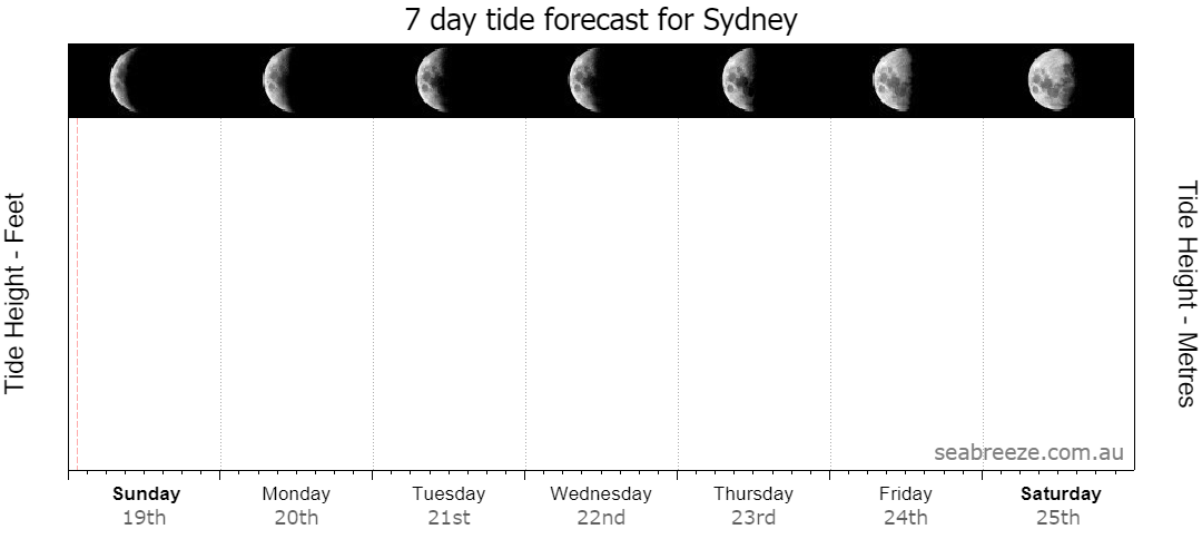 7 DAY TIDE FORECAST