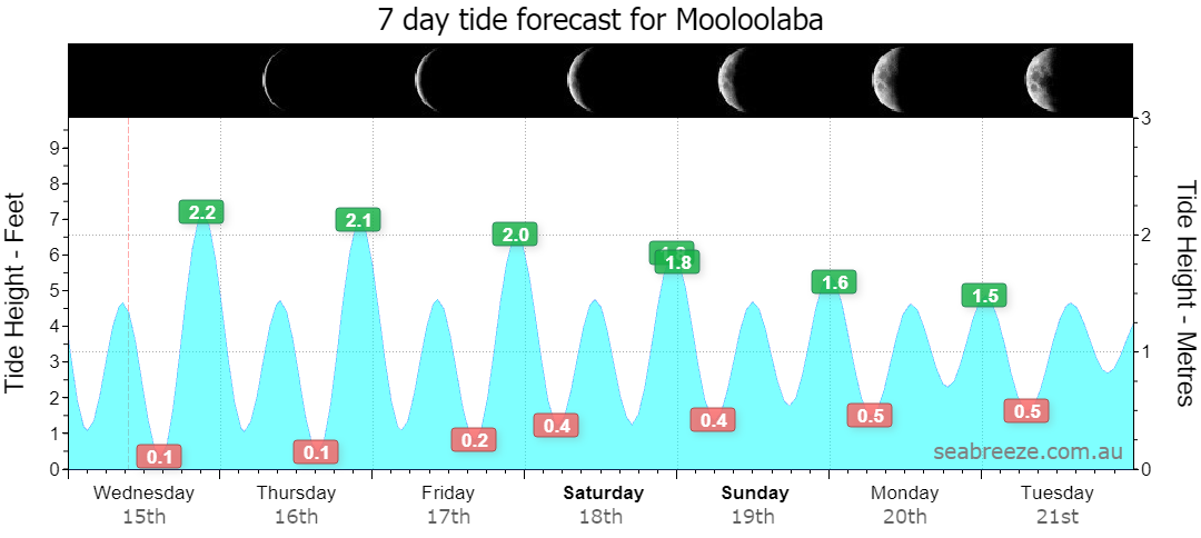 7 DAY TIDE FORECAST