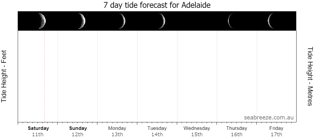 7 DAY TIDE FORECAST