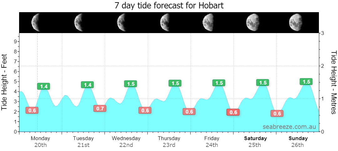 7 DAY TIDE FORECAST