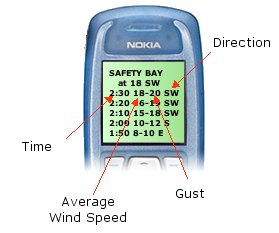 Alert SMS Details