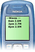 Alert SMS Example