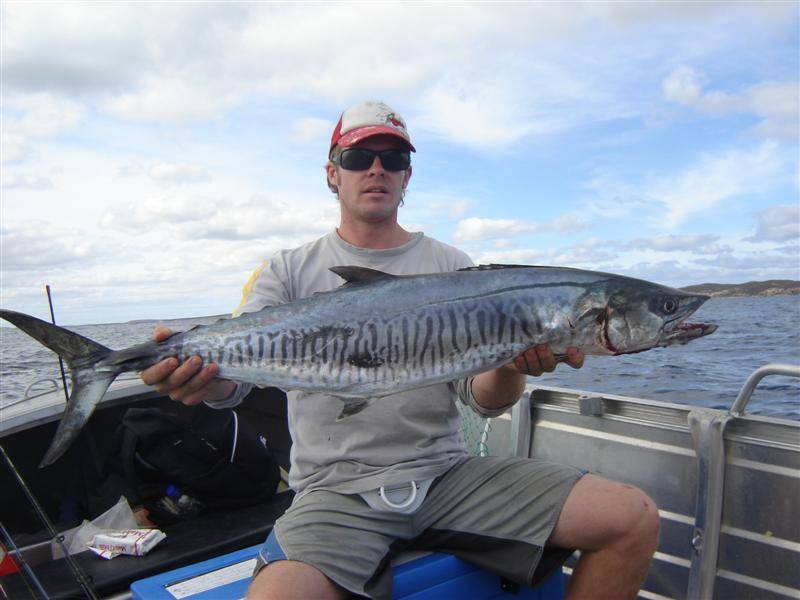 Spanish Mackerel rigs for Blue Marlin - The Hull Truth - Boating