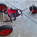 Peter Lynn Kite Buggy Complete - 1