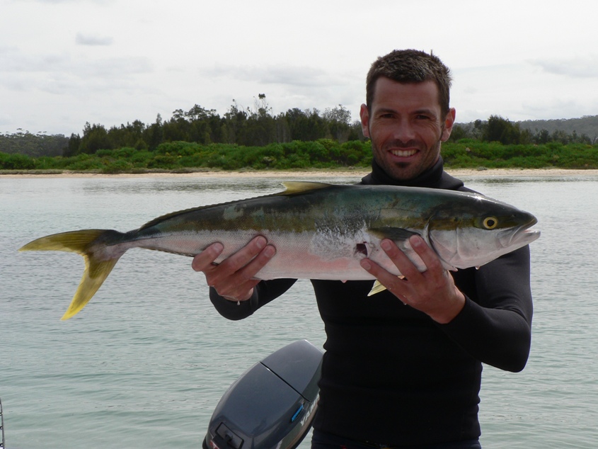Spearfishing for Kingies on NSW South Coast