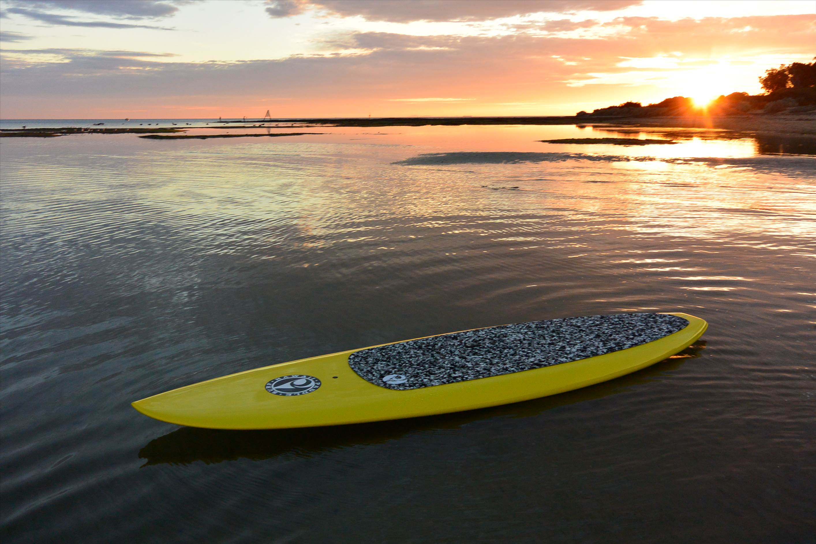 Stand Up Paddle