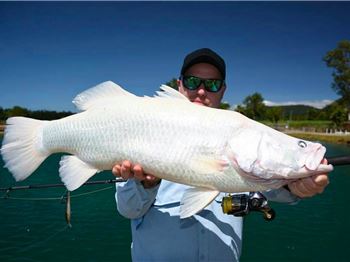 Have you ever seen an Albino Barramundi? - Fishing News