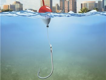 Who do Fish steal my bait? Tips to stop feeding the fish. - Fishing News