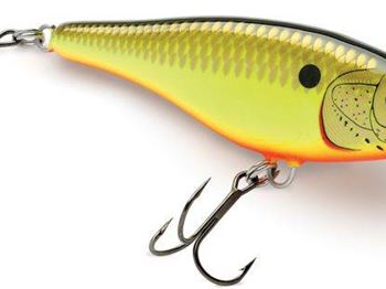 Rapala's new Glidin' Rap 12 - Fishing News