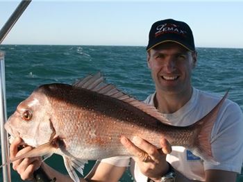 WA recreational anglers reminded of snapper season closure - Fishing News