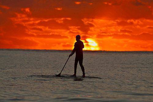 standing on a surfboard and paddling