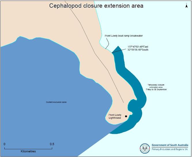 Cephalopod closure extension area