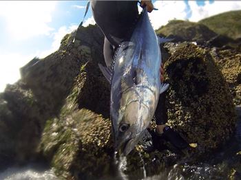 Extreme Rock Fishing - MorningTide - Fishing News