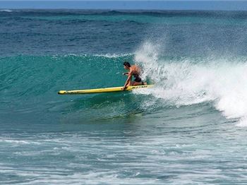 You've gotta surf what you 'got! - Stand Up Paddle News