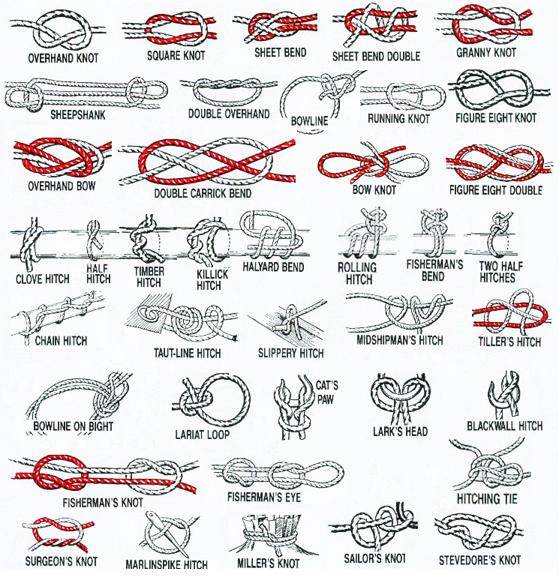 Knots | Land Yacht Sailing Forums, page 1
