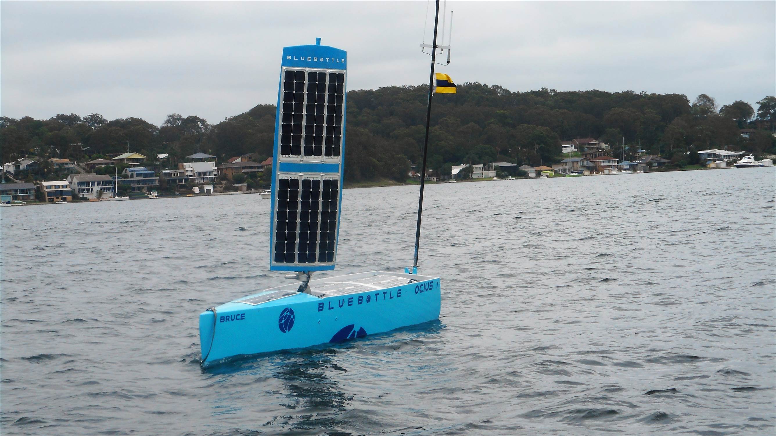 Bluebottle  Fishing Tasmania