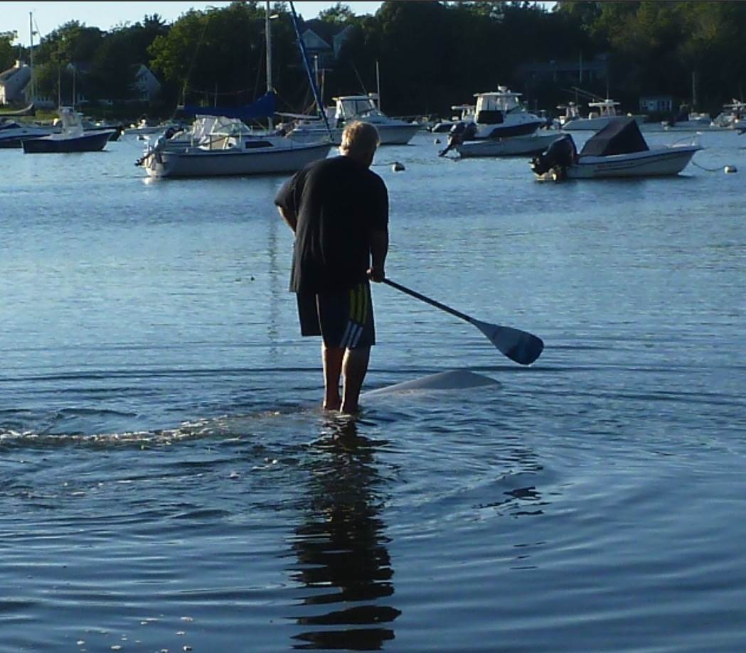 Stand Up Paddle