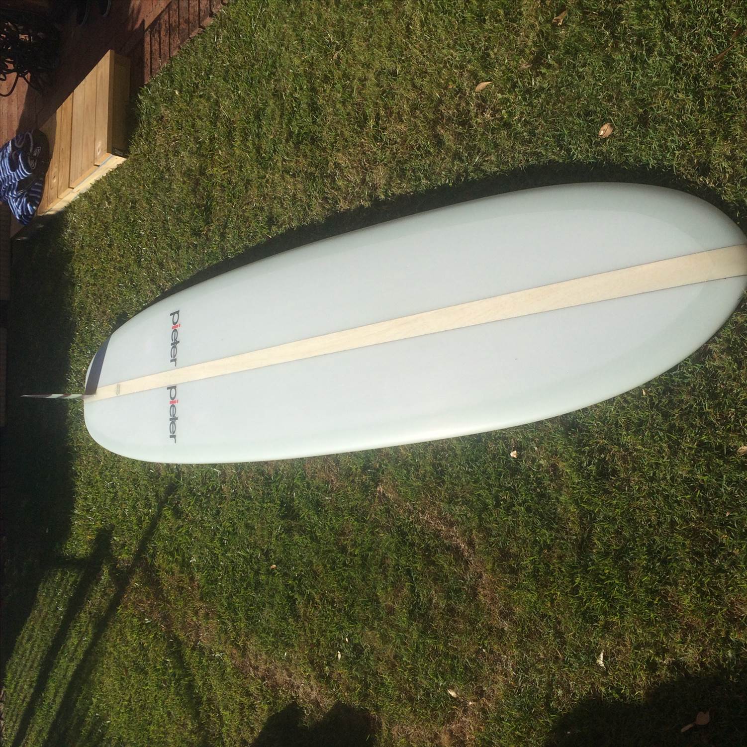 pieter surfboards for sale