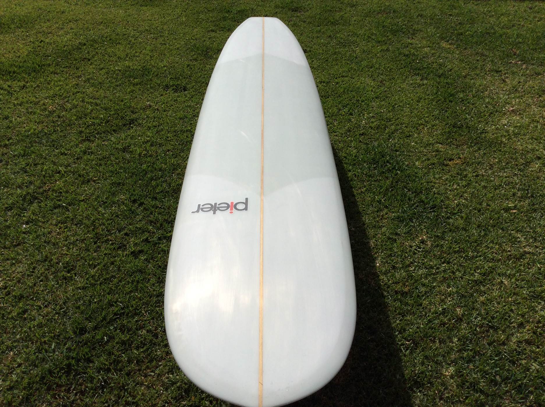 pieter surfboards for sale