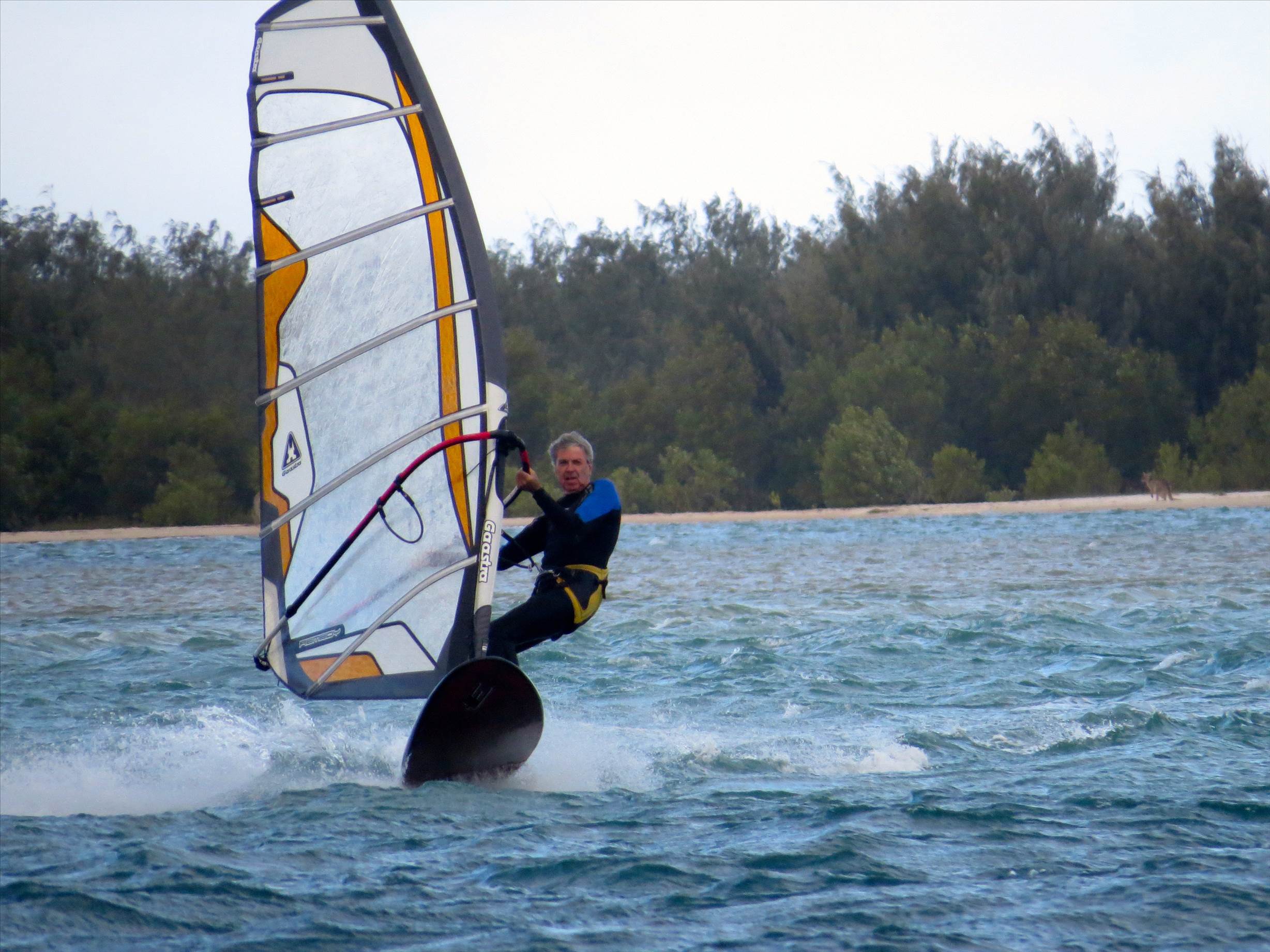 Windsurfing South Easterly