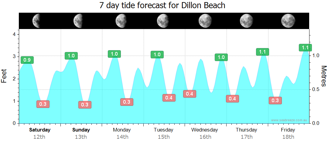 Dillon Beach Tide Chart: Your Essential Guide