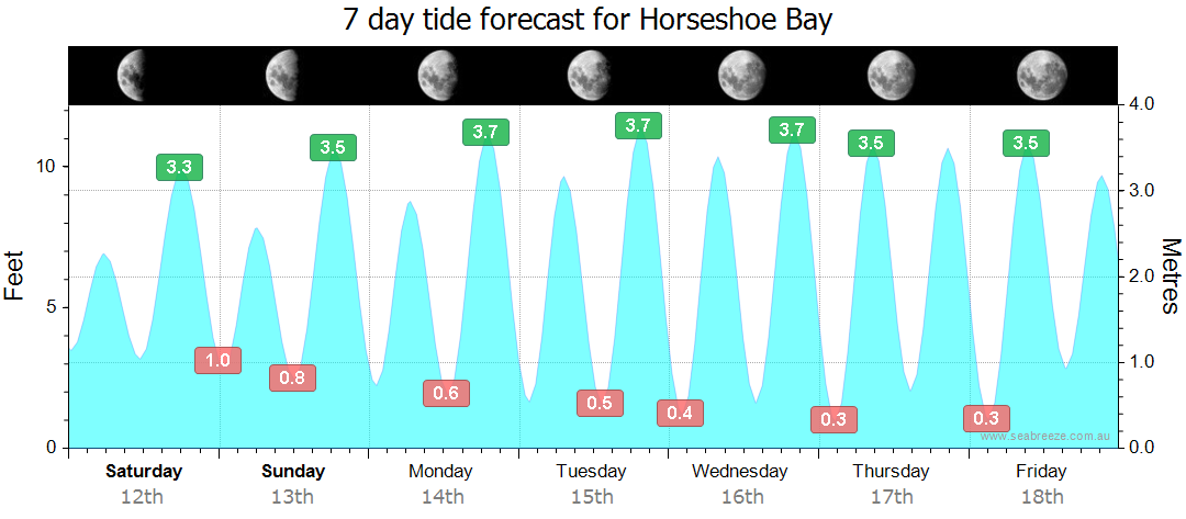 Horseshoe Beach Tide Chart: Your Ultimate Guide to Planning the Perfect Visit