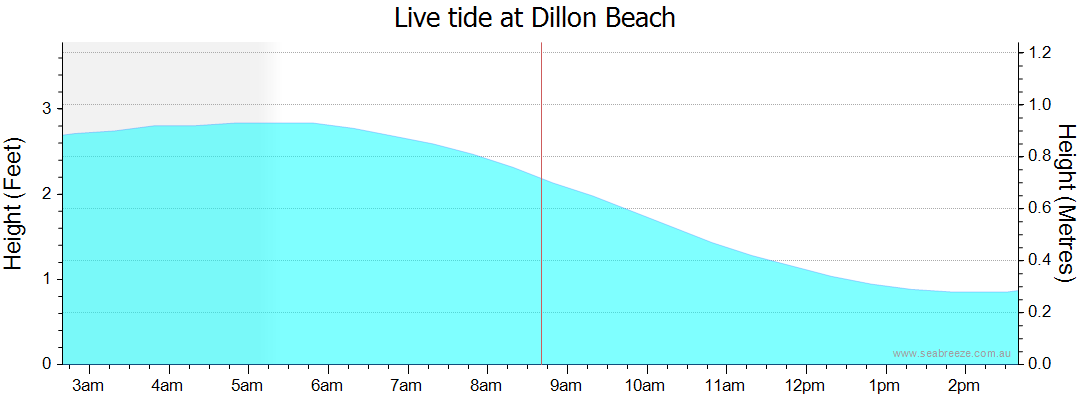 Tides at Dillon Beach: Your Ultimate Guide to the Coastal Experience