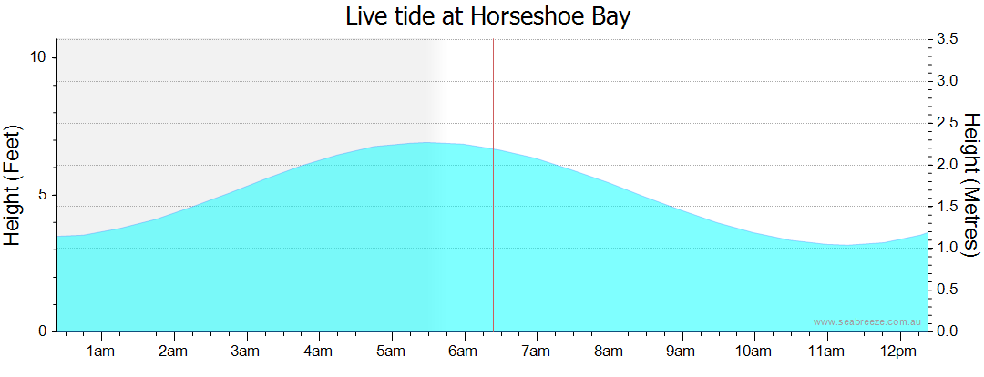 Horseshoe Beach Tide Chart: Your Ultimate Guide to Planning the Perfect Visit