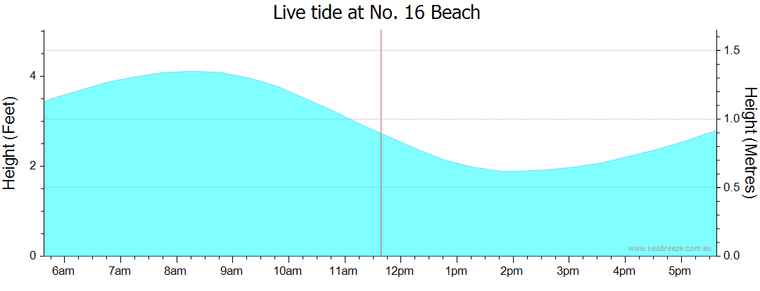 16+ Grays Beach Tide Chart